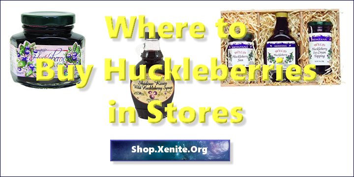 Where to Buy Huckleberries in Stores